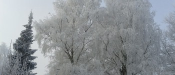 Brrr... koud!